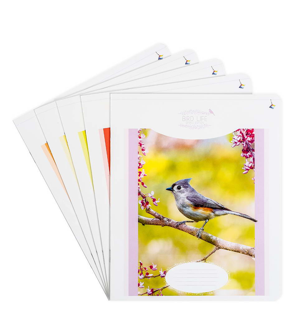 ЗОШИТИ ШКІЛЬНІ “Життя пташок” фото 1