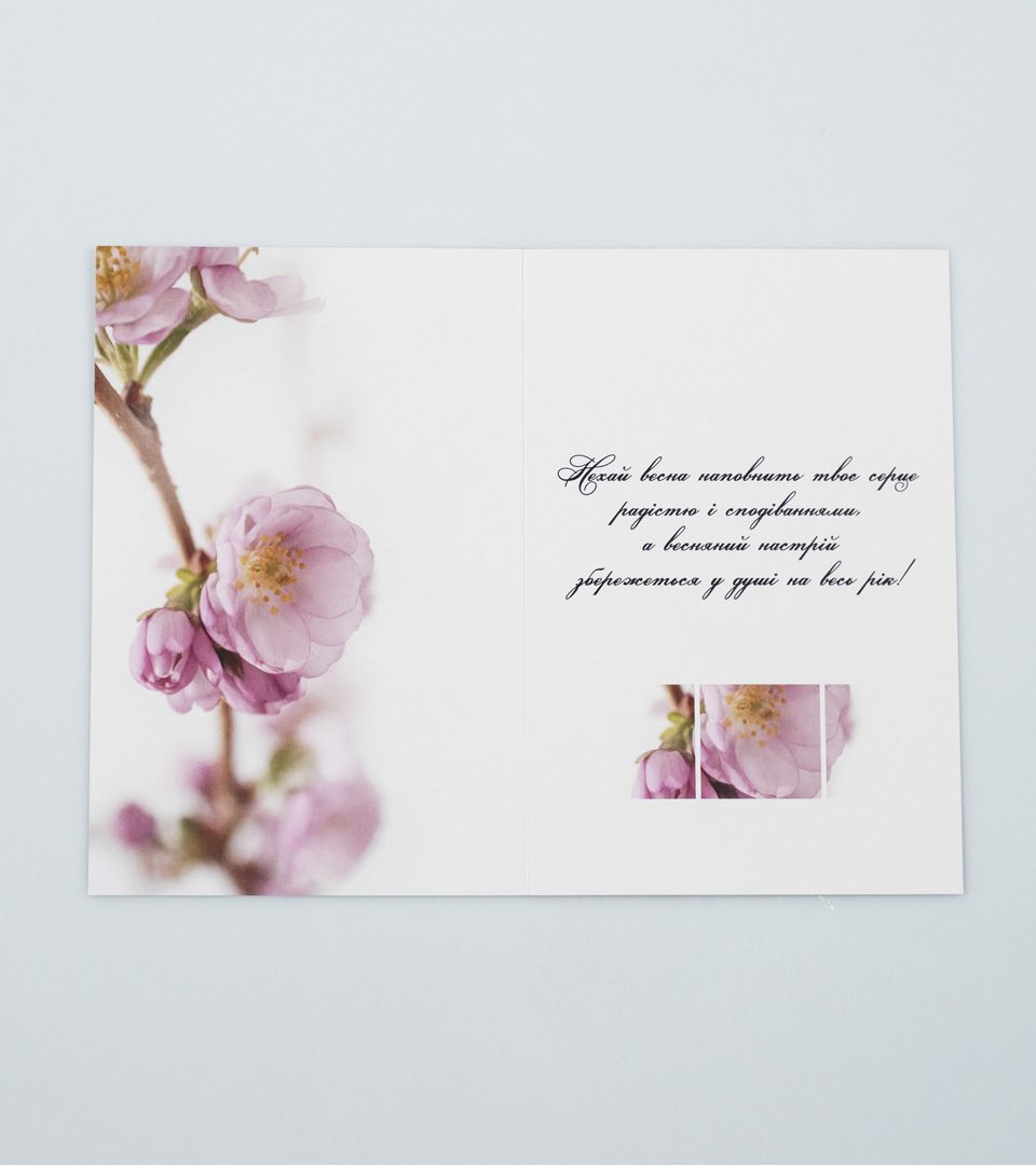 № 11 8 березня 13464 фото 3