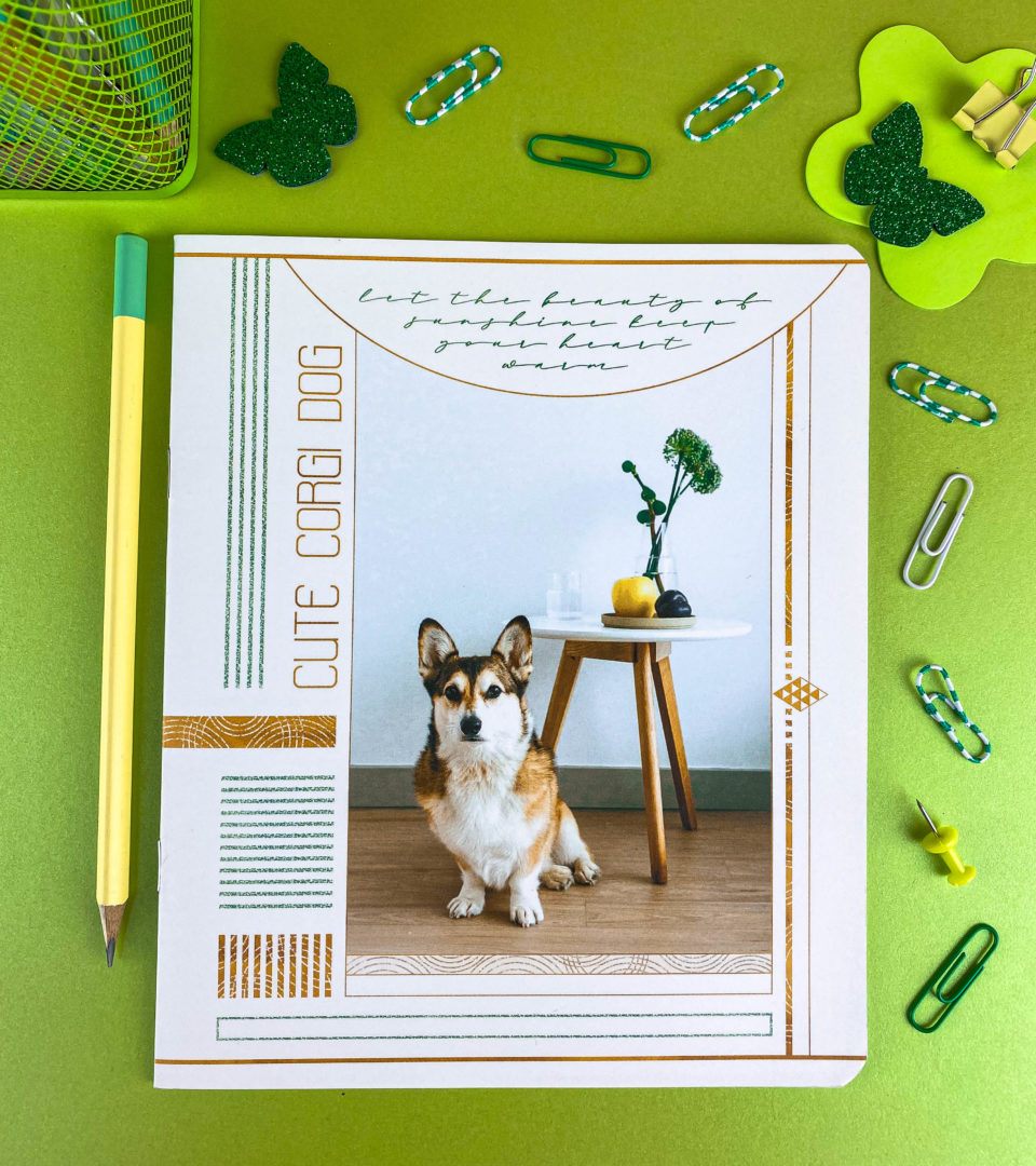 Зошити шкільні “Сонячний день” фото 2