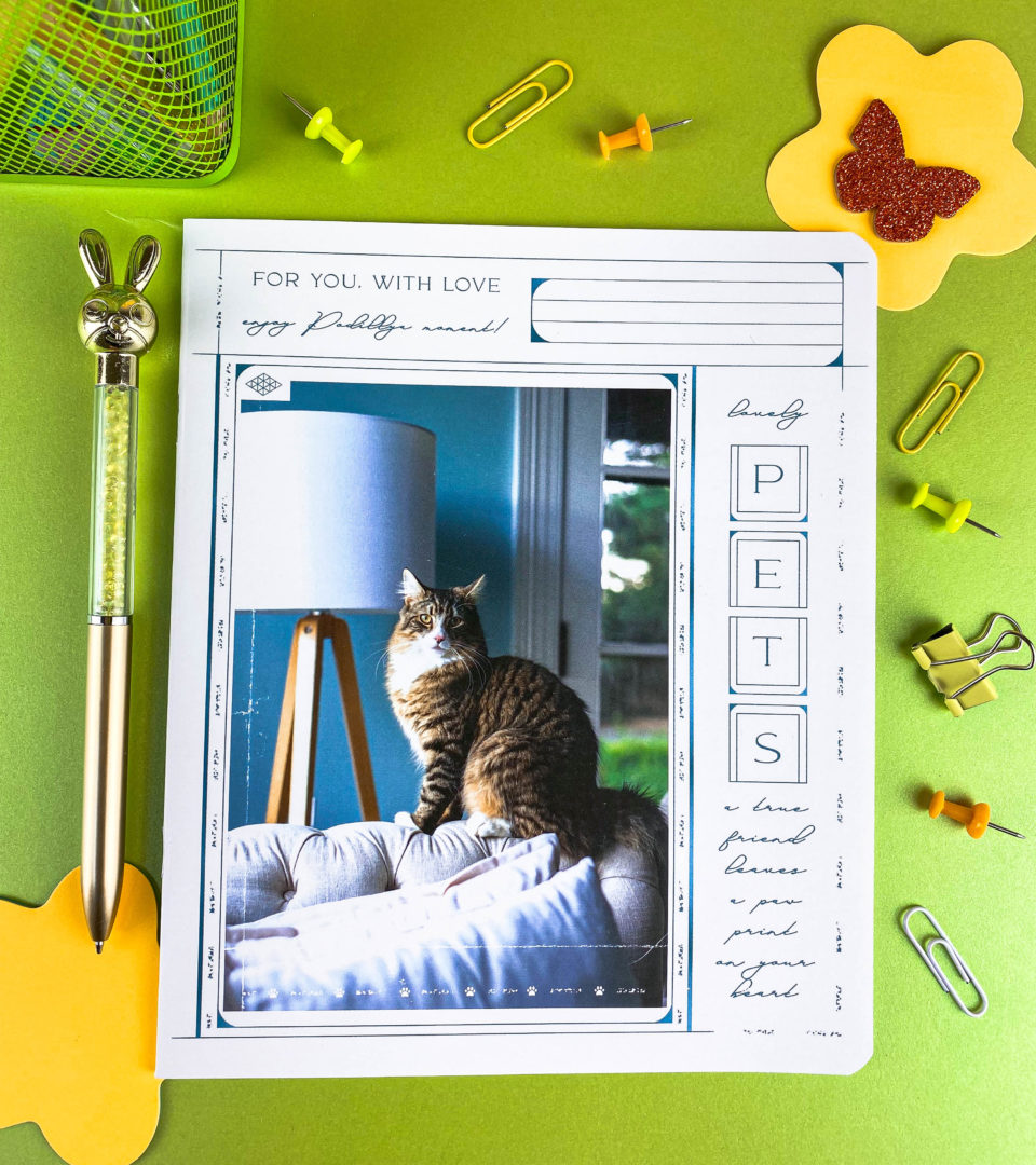 Зошити шкільні “Найкращі друзі” фото 2