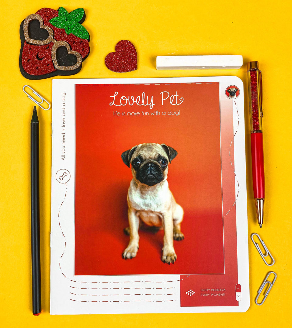 Зошити шкільні “Дружні песики” фото 2