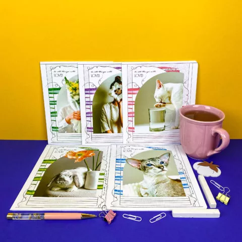 Зошити шкільні “Дотик світла” фото
