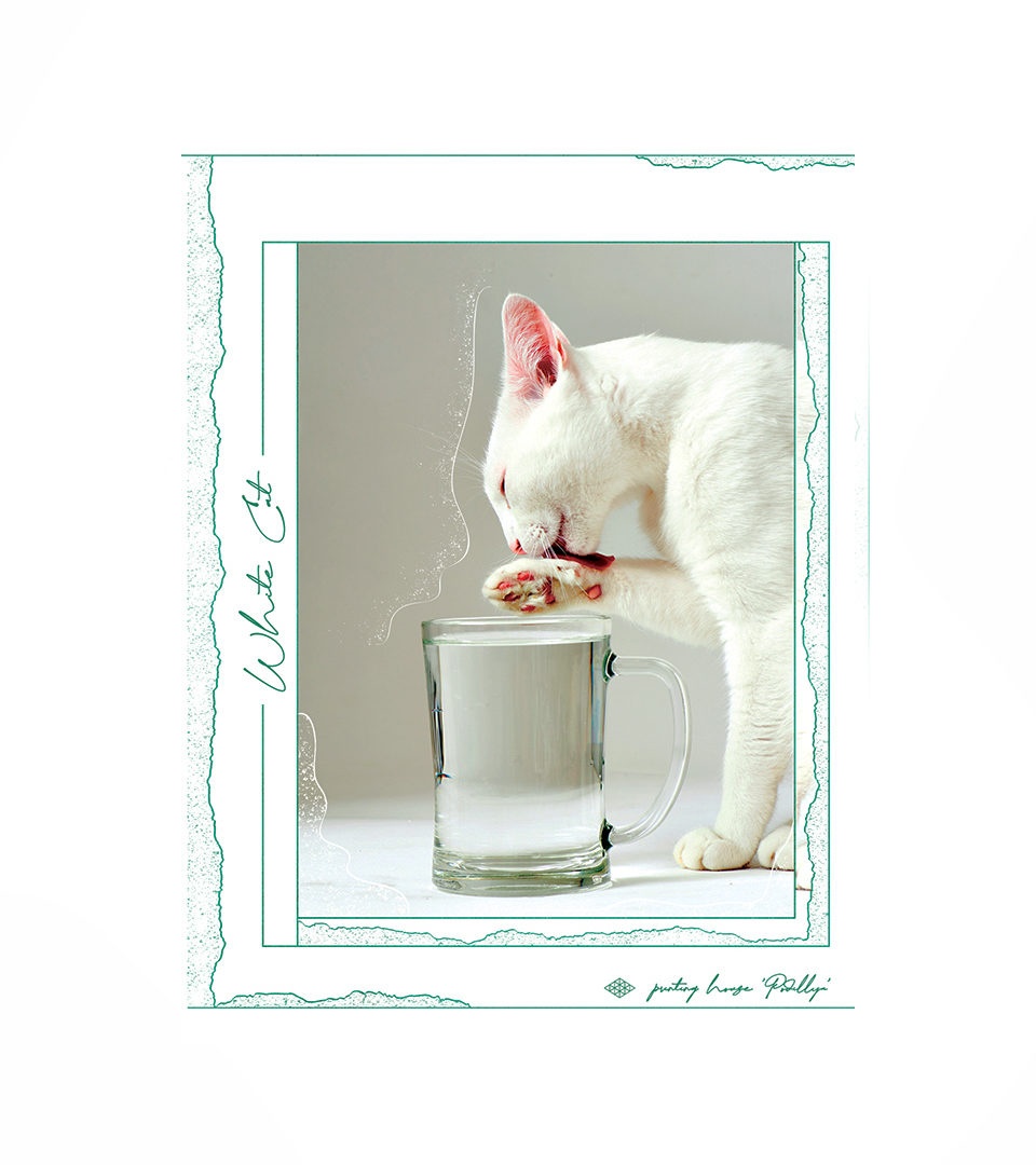 Блокнот А5 м’яка обкладинка “Естетика ніжності” фото 2