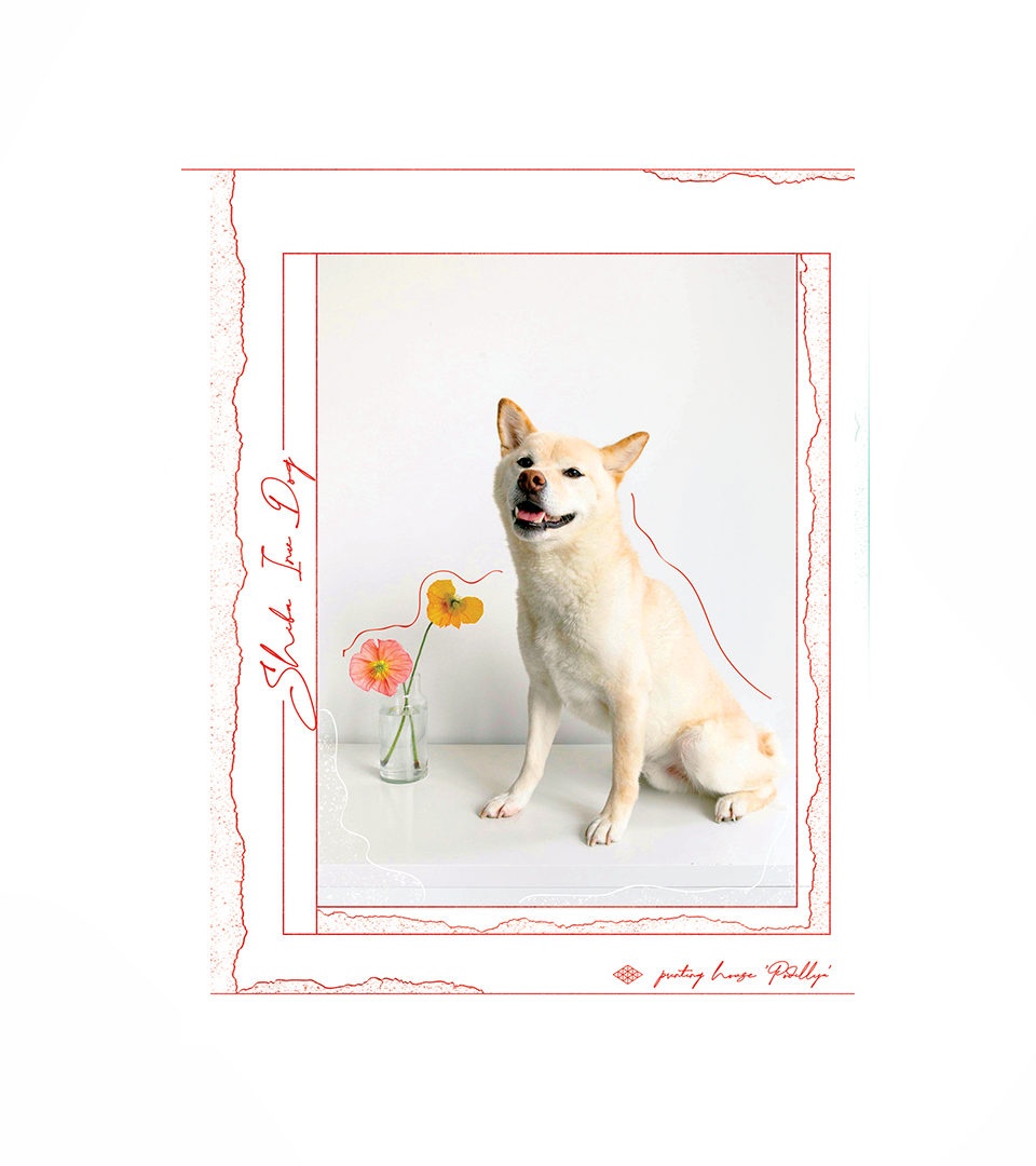 Блокнот А5 м’яка обкладинка “Естетика ніжності” фото 4