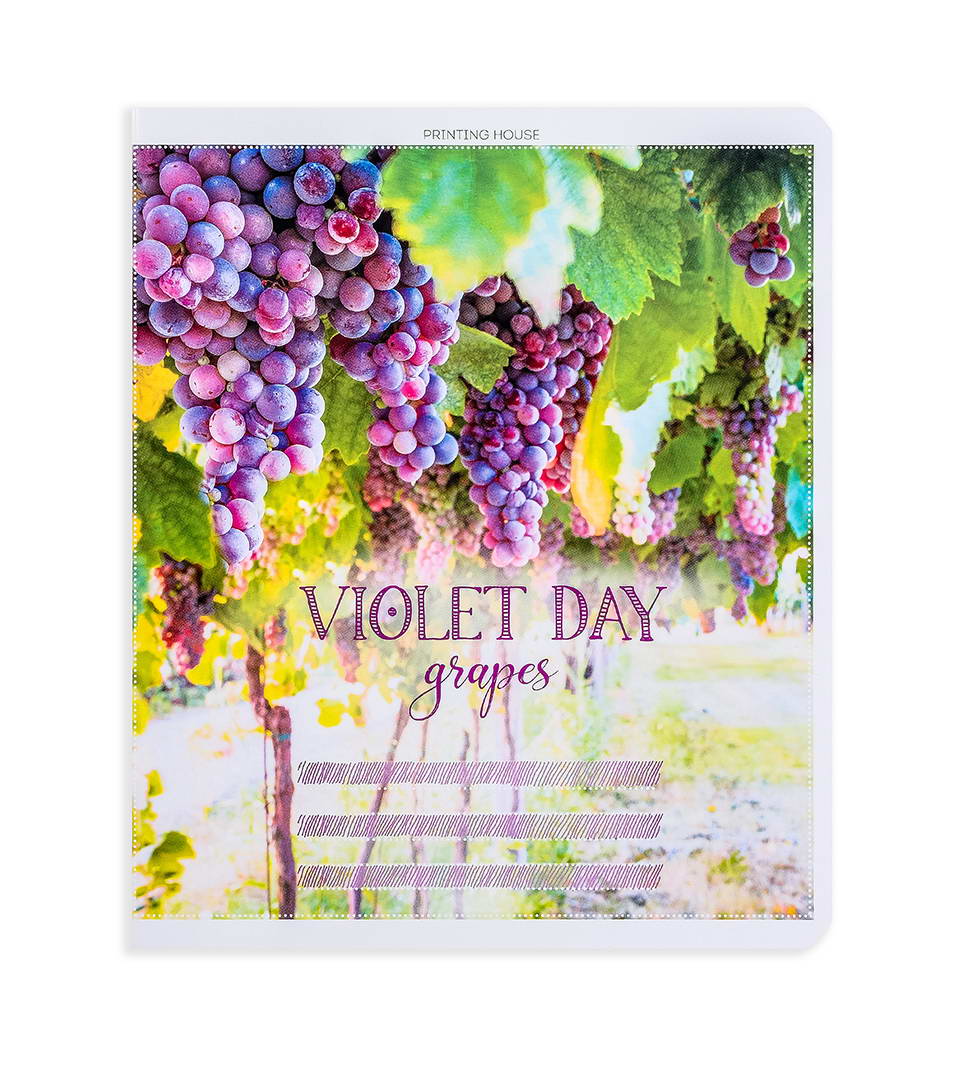 Зошити загальні “Фруктовий день” фото 6