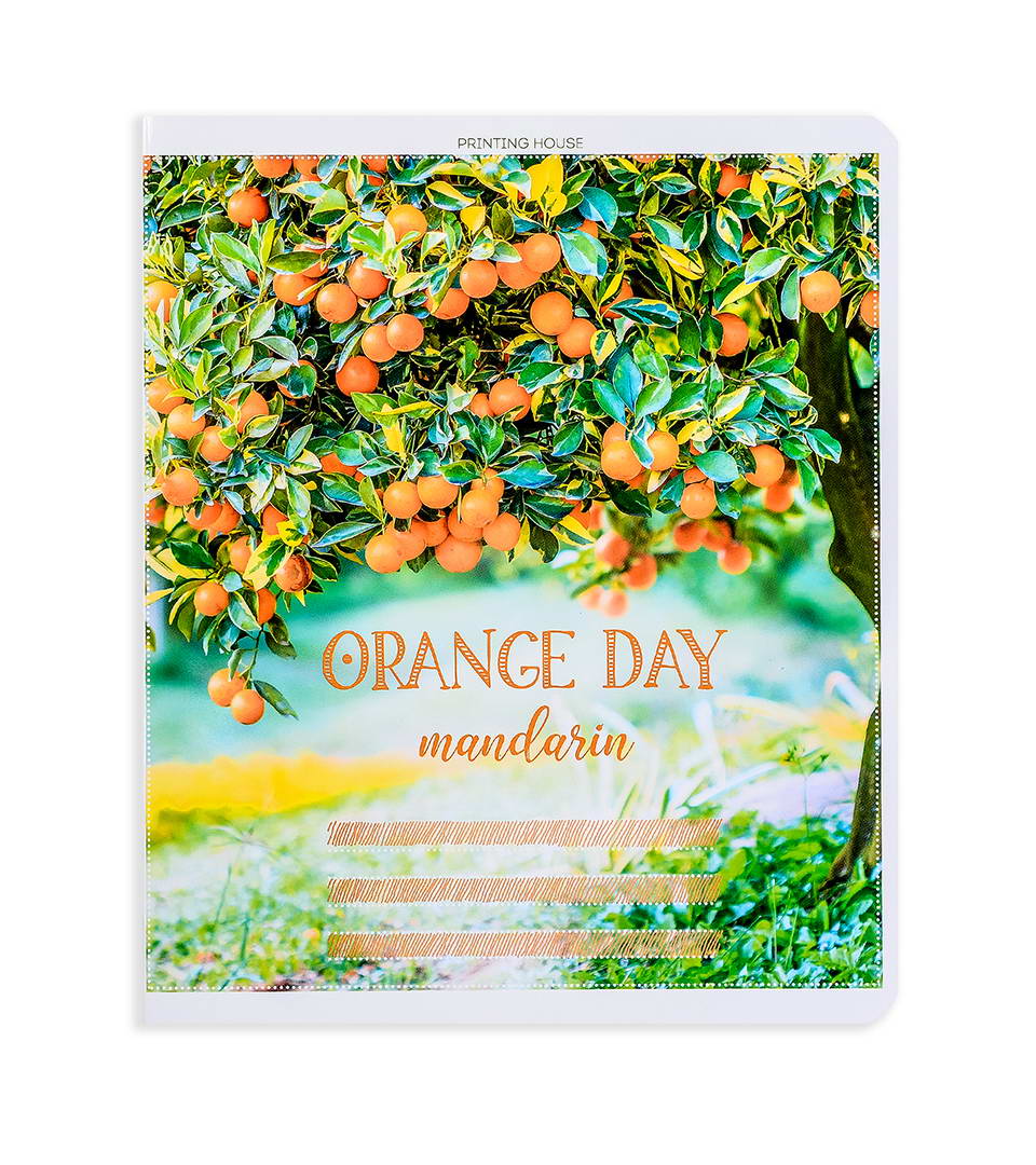 Зошити загальні “Фруктовий день” фото 5