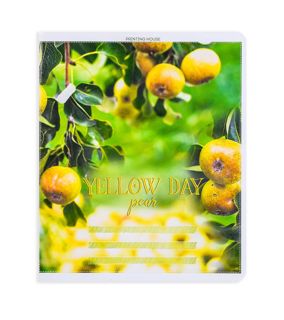 Зошити загальні “Фруктовий день” фото 2