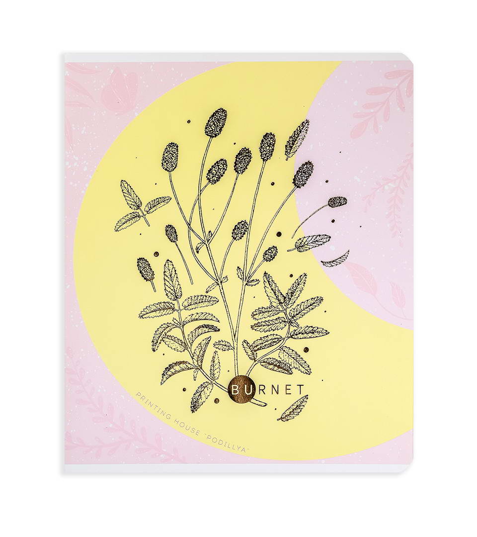 Зошити загальні “Ніжність” фото 4