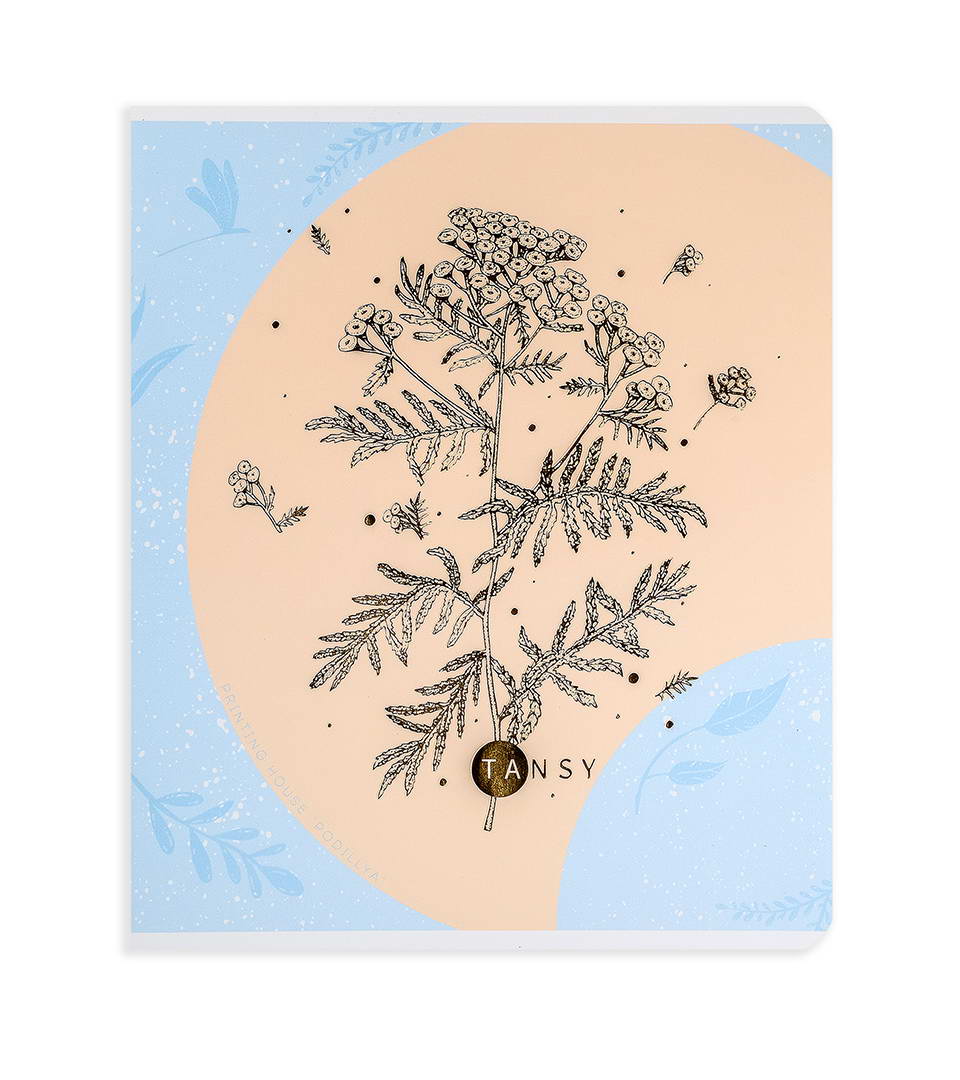 Зошити загальні “Ніжність” фото 3