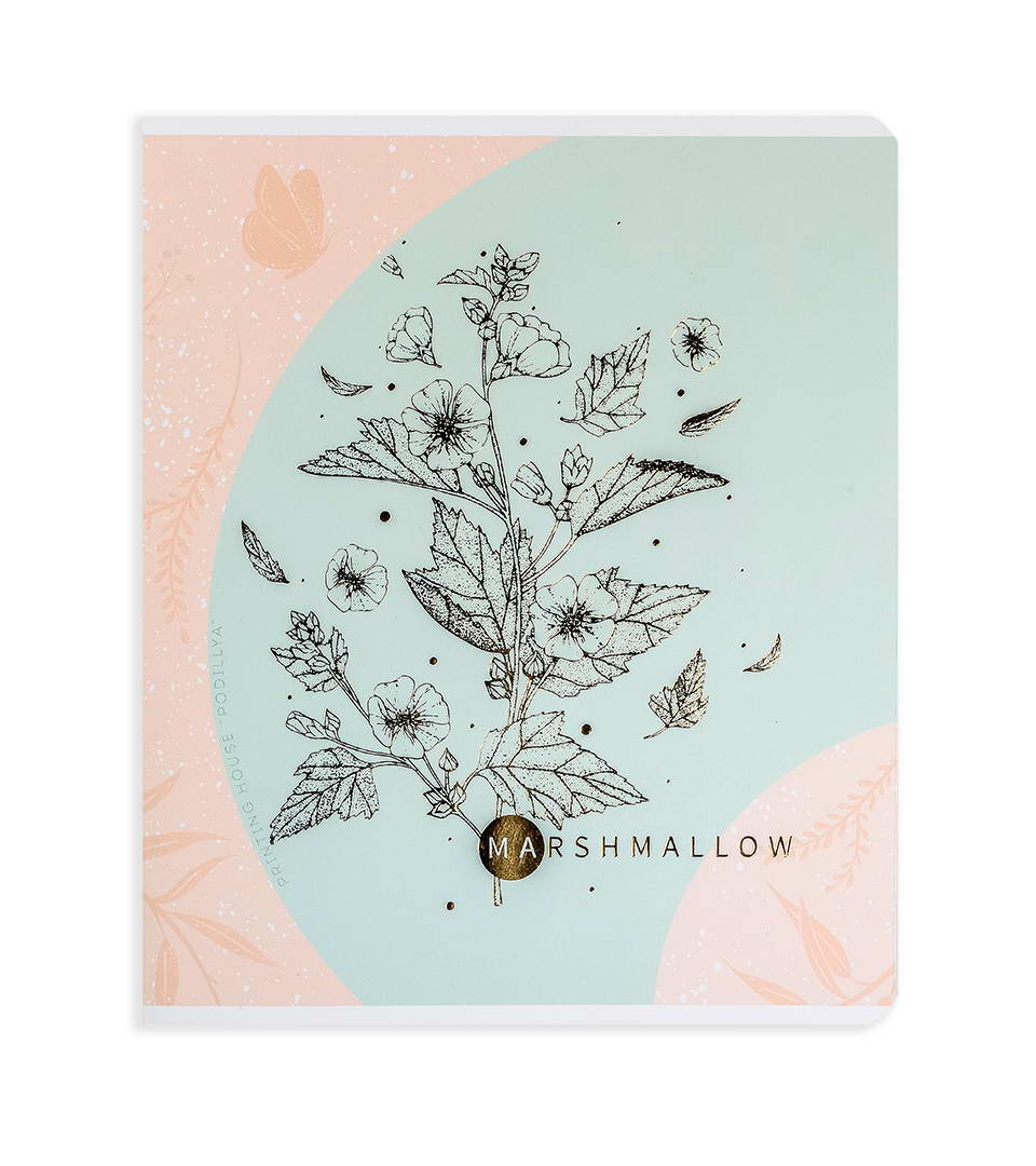 Зошити загальні “Ніжність” фото 2