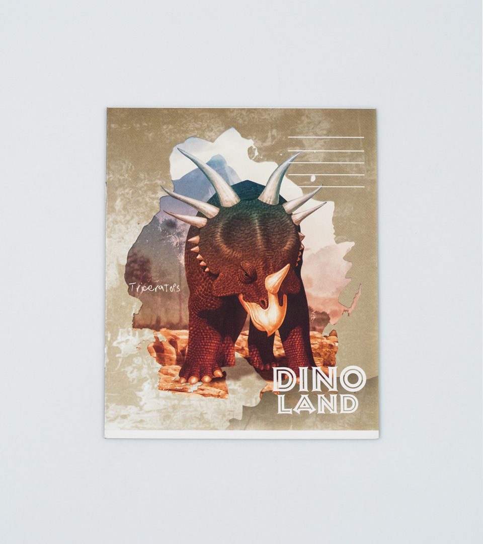 Зошити шкільні “Діно” фото 6