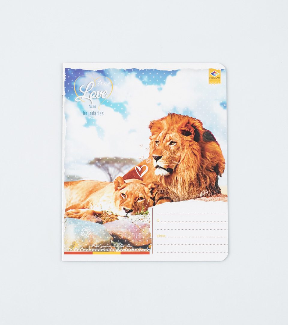Зошити шкільні “Любов не має меж” фото 2