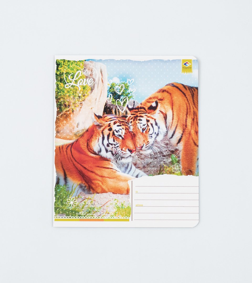 Зошити шкільні “Любов не має меж” фото 3