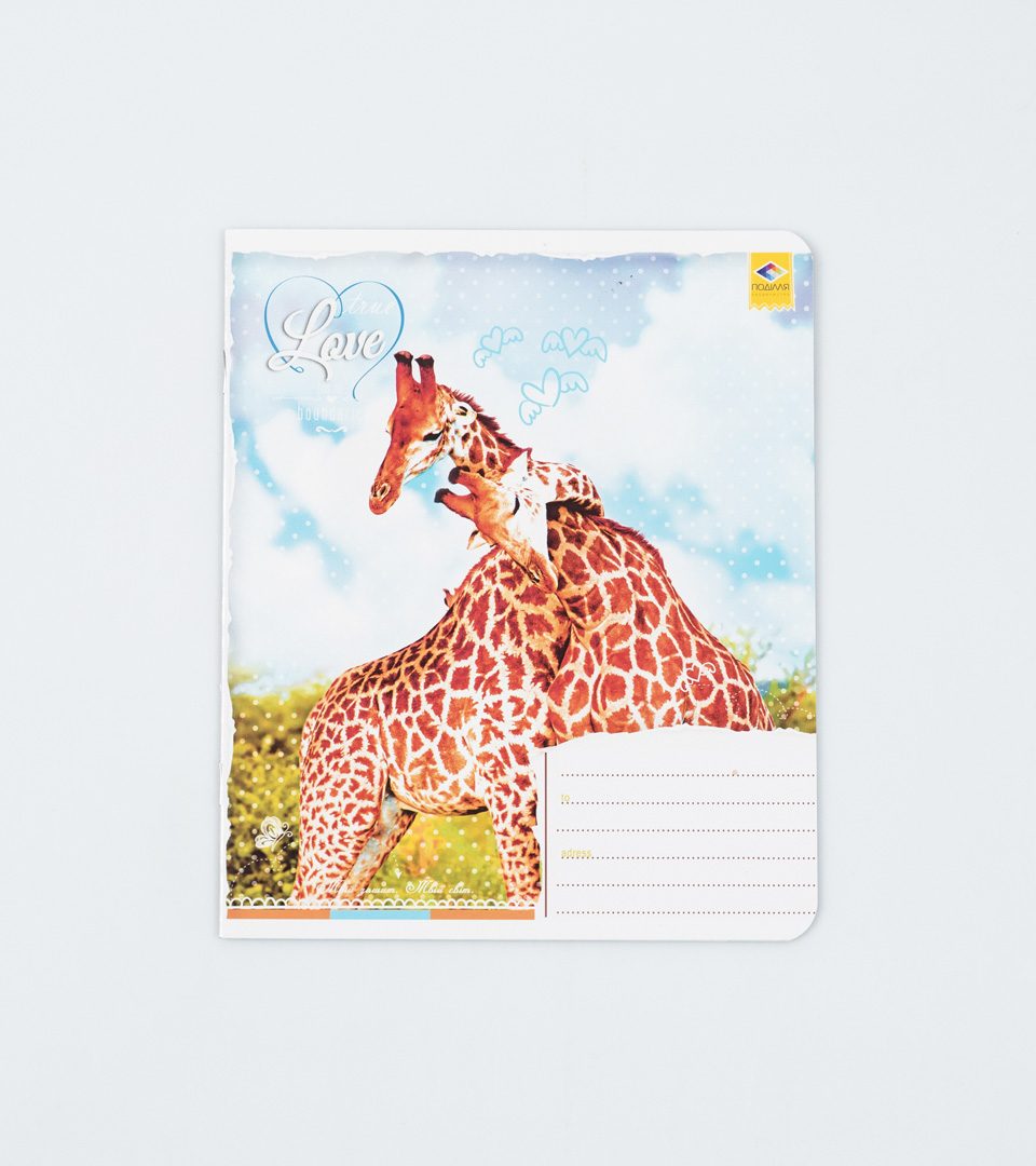 Зошити шкільні “Любов не має меж” фото 4