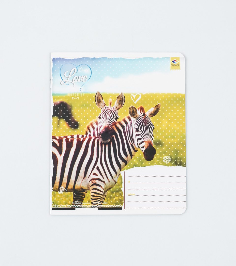 Зошити шкільні “Любов не має меж” фото 5