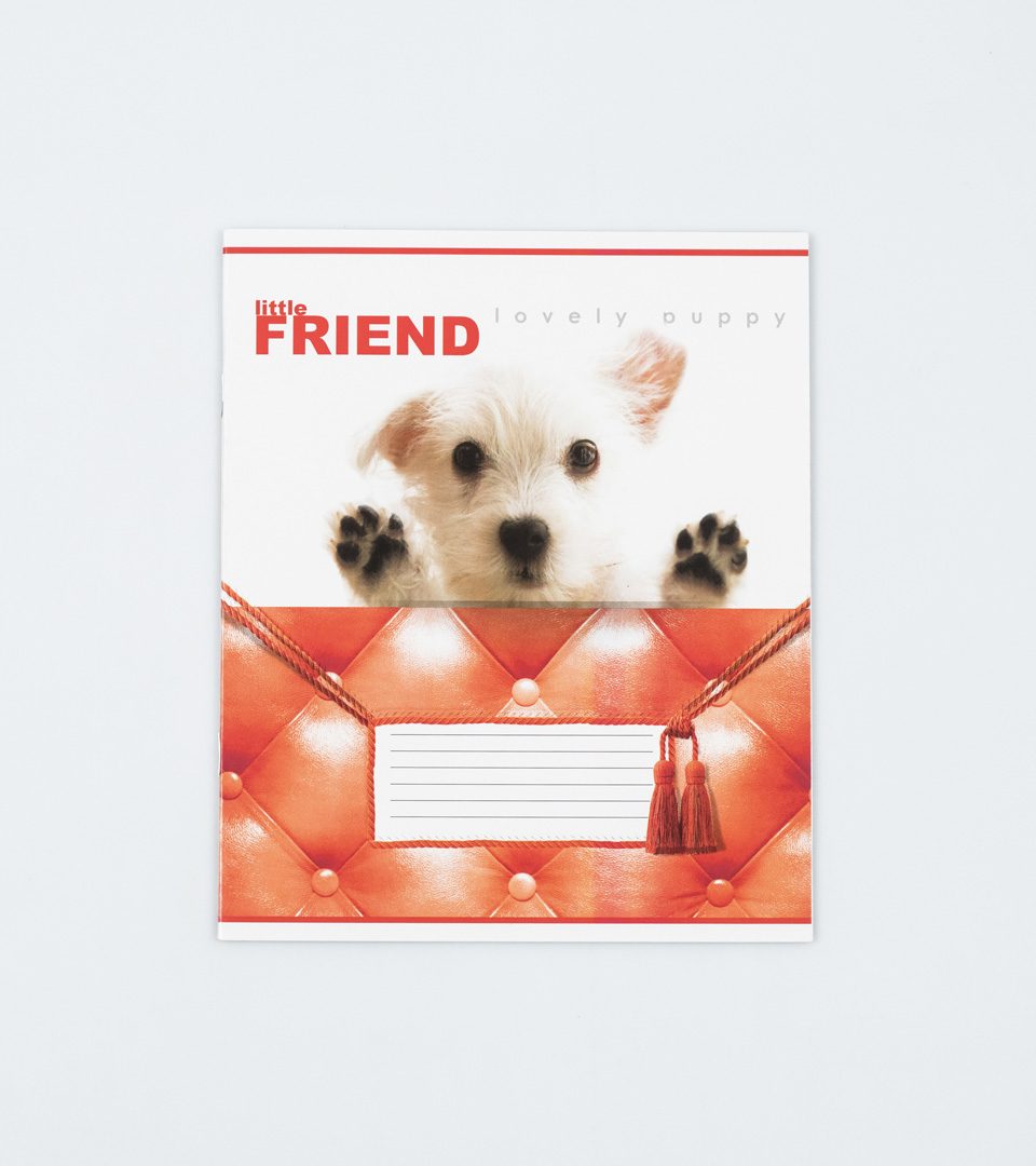 Зошити шкільні “Маленький друг” фото 2