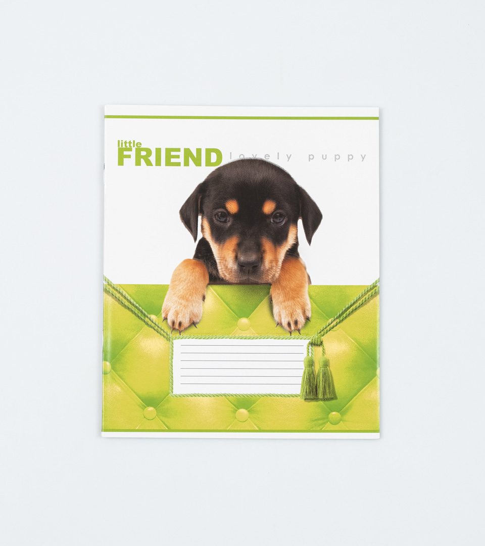 Зошити шкільні “Маленький друг” фото 3