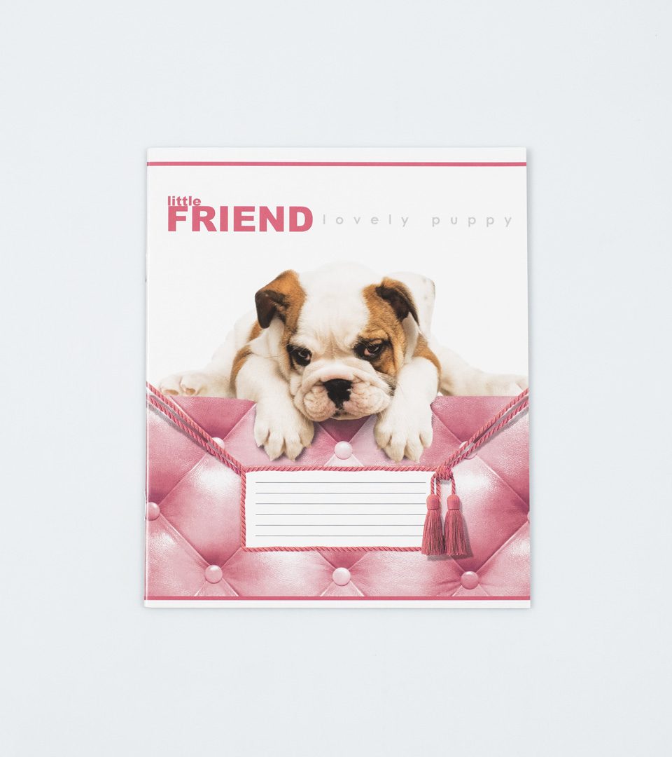 Зошити шкільні “Маленький друг” фото 5