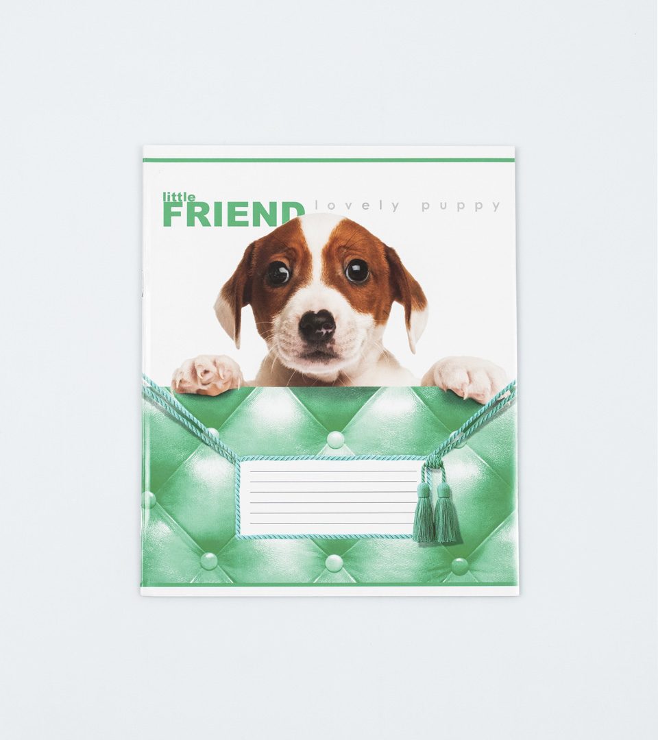 Зошити шкільні “Маленький друг” фото 6