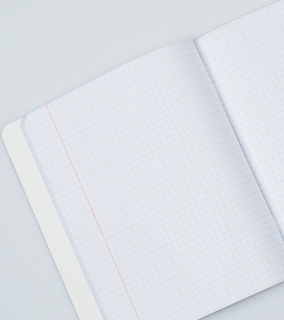 Зошити шкільні “Ніжні квіти” фото 7