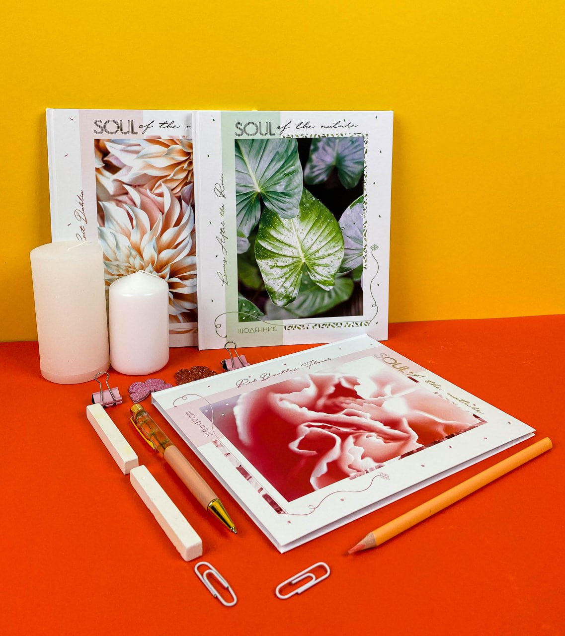 Щоденник шкільний “Душа природи” фото 1