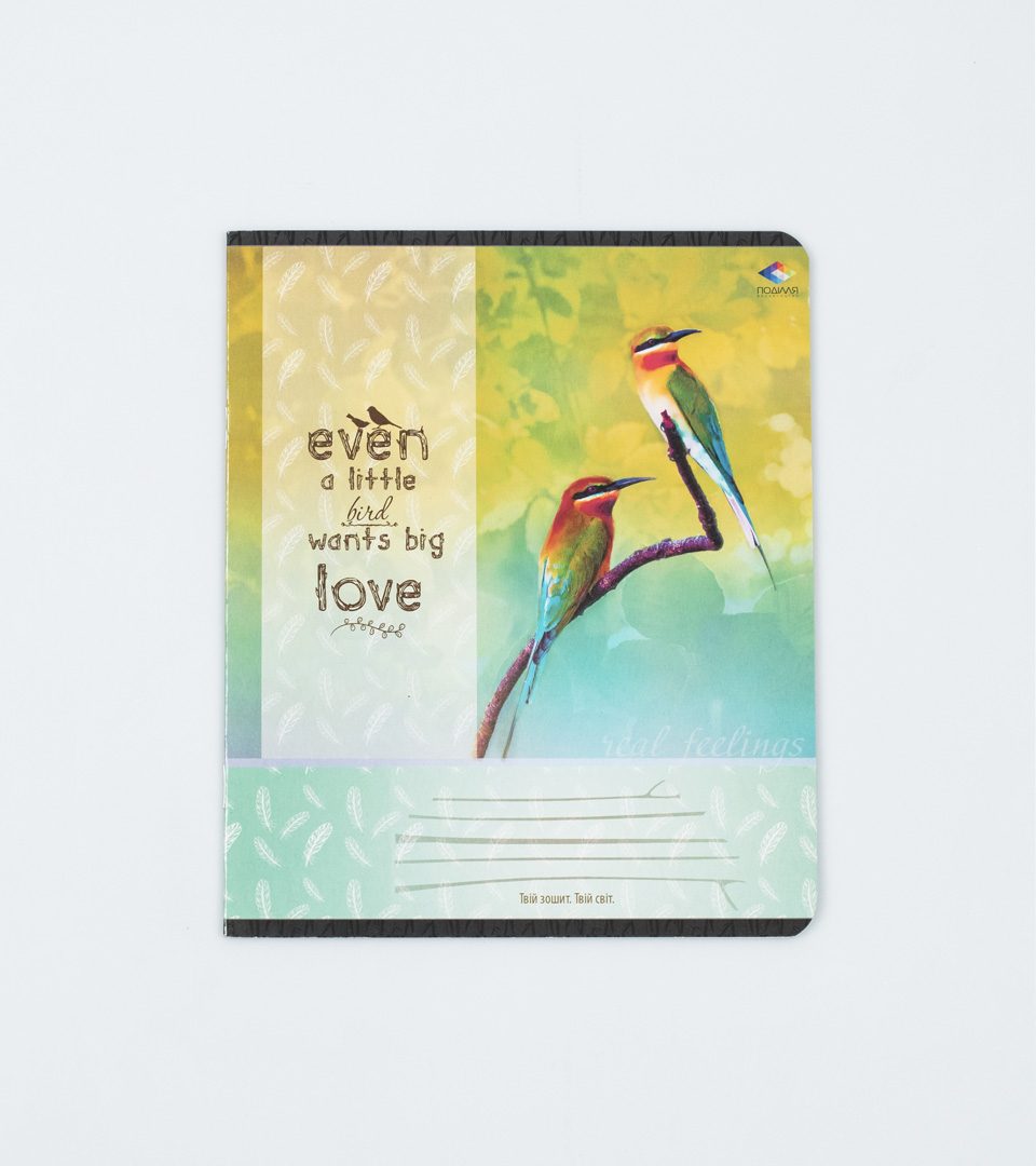 Зошити шкільні “Почуття” фото 6
