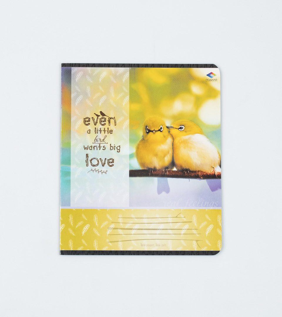 Тетради школьные “Чувства” фото 3