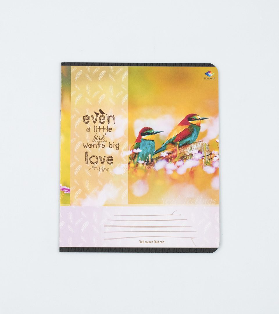 Тетради школьные “Чувства” фото 4
