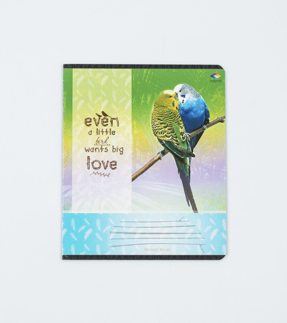 Тетради школьные “Чувства” фото 5