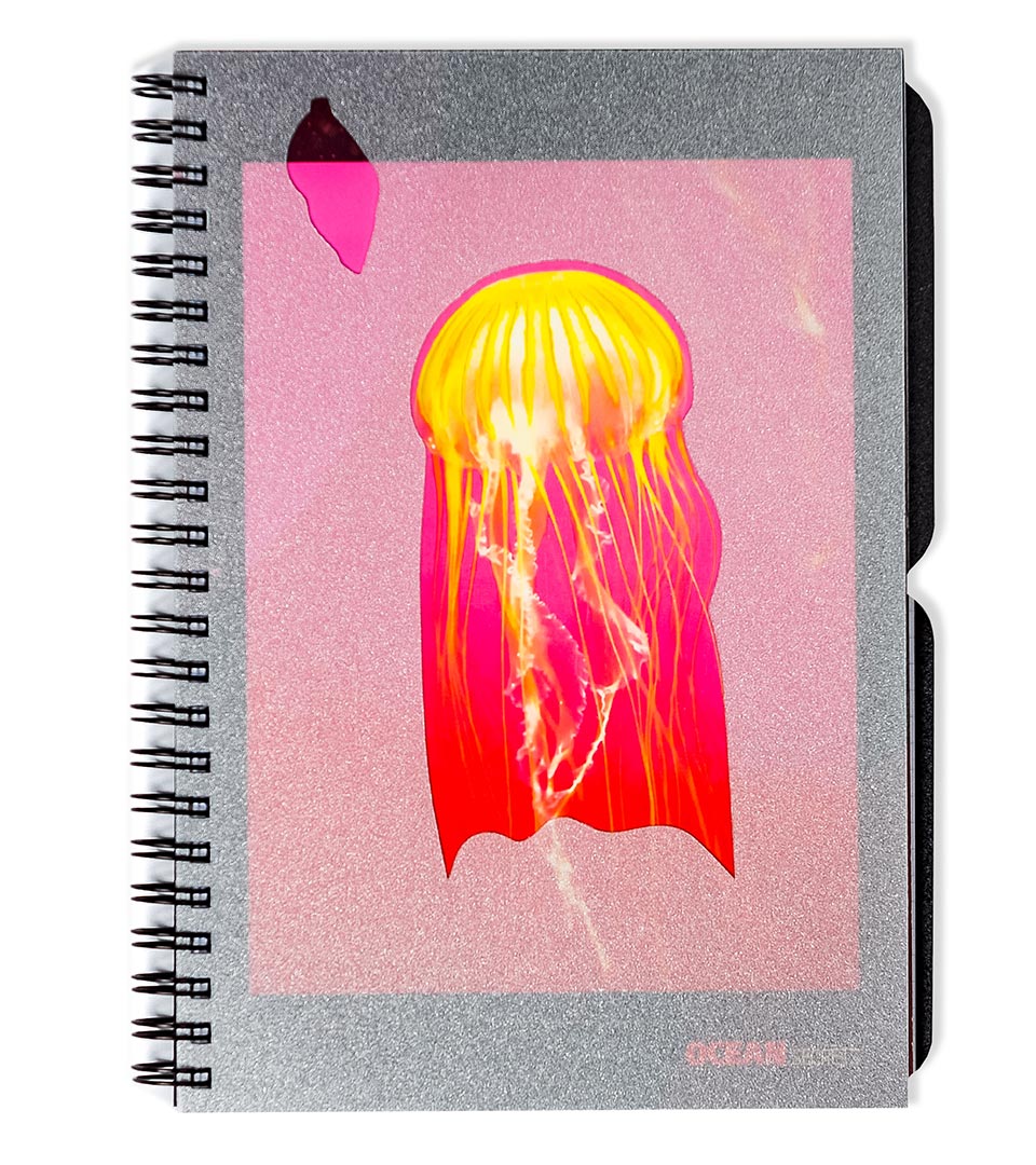 Блокнот А5 з пластиковою обкладинкою “Медузи” фото 3