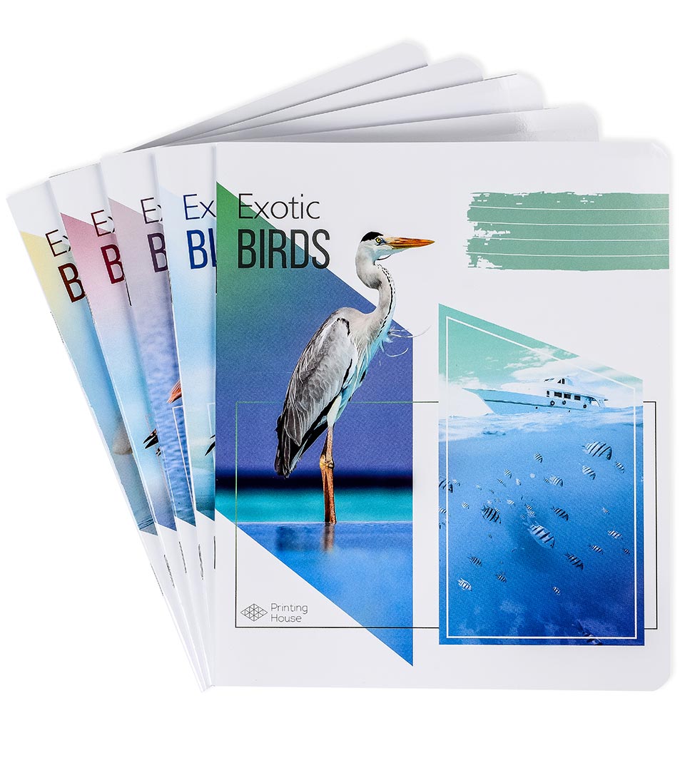 Зошити загальні “Птахи на відпочинку” фото 1