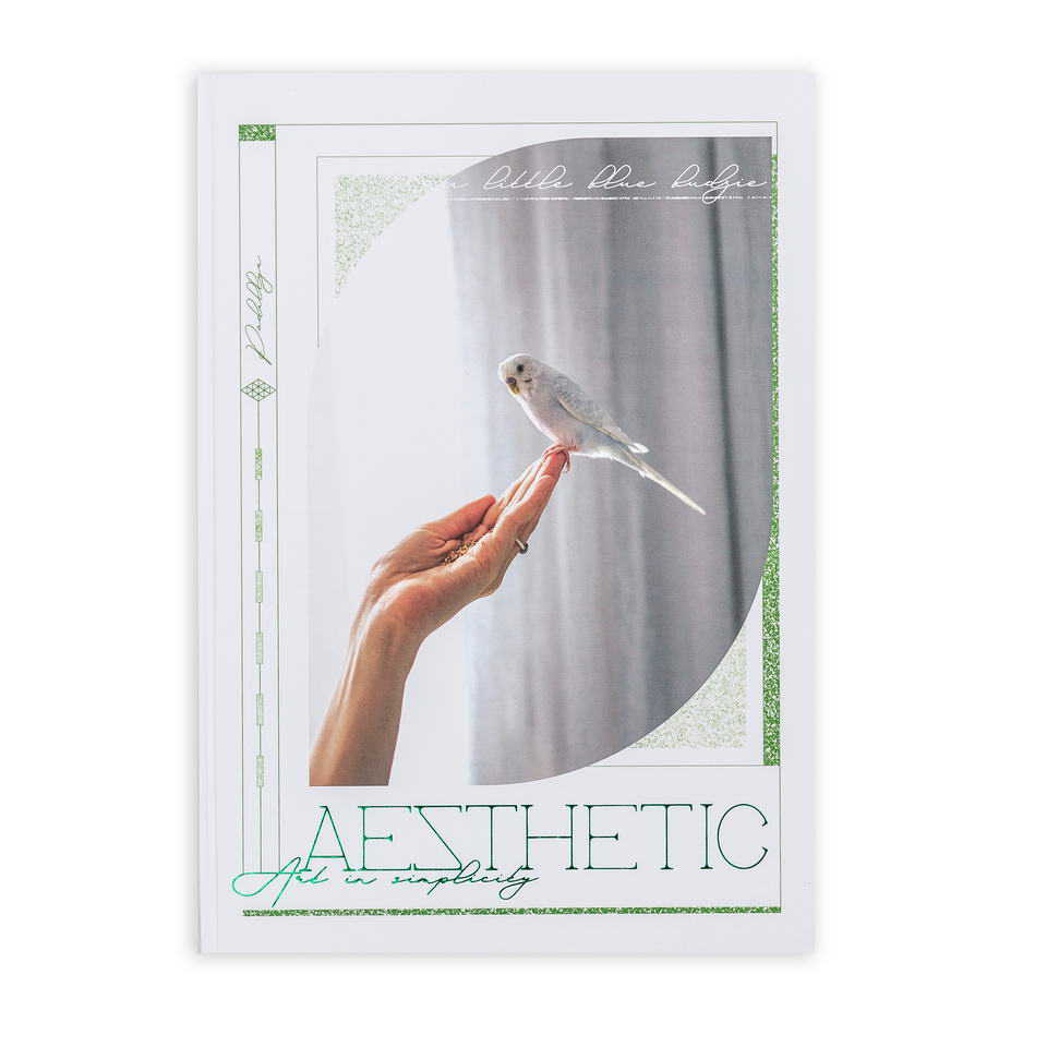 Зошит офісний А4 “Естетика” фото 4