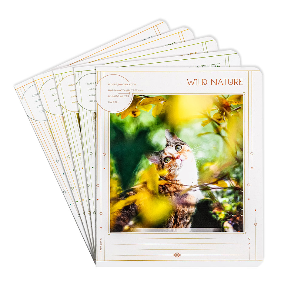 Зошити шкільні “Краса природи” фото 1