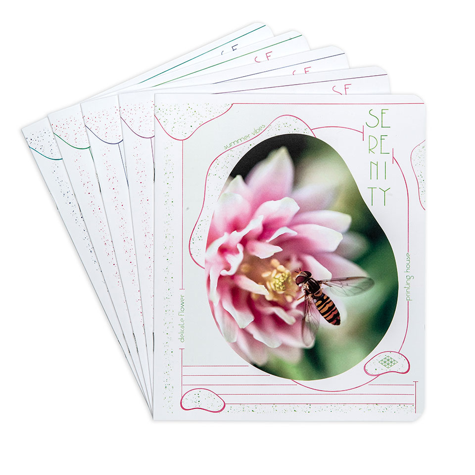 Зошити шкільні “Природні барви” фото 1