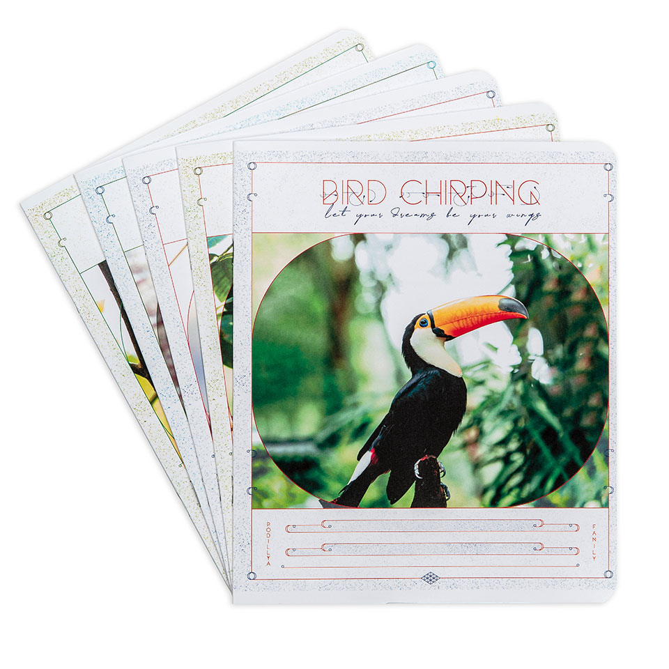 Зошити шкільні “Пташиний спів” фото 1