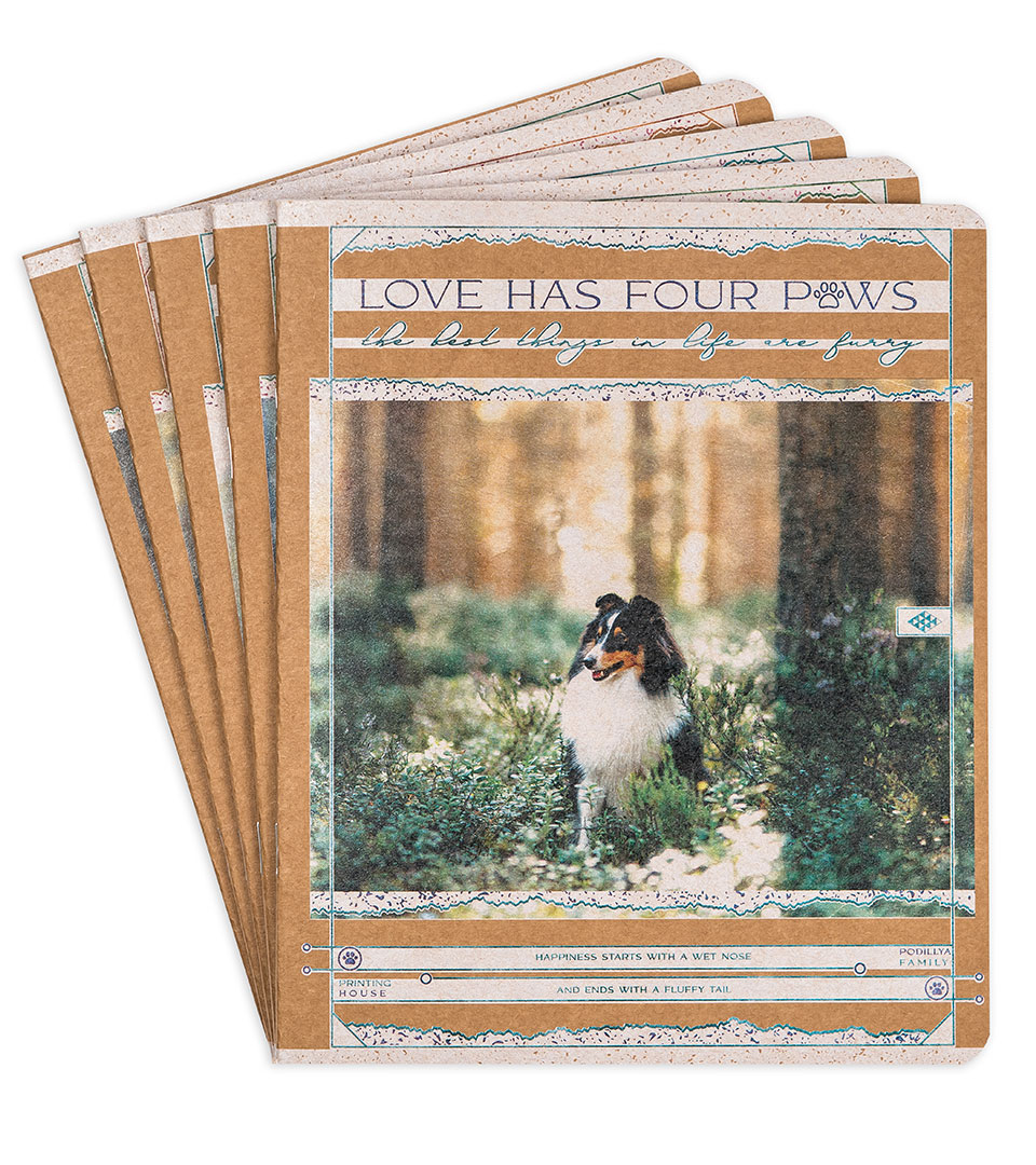 Зошити загальні “Сонячна галявина” фото 1