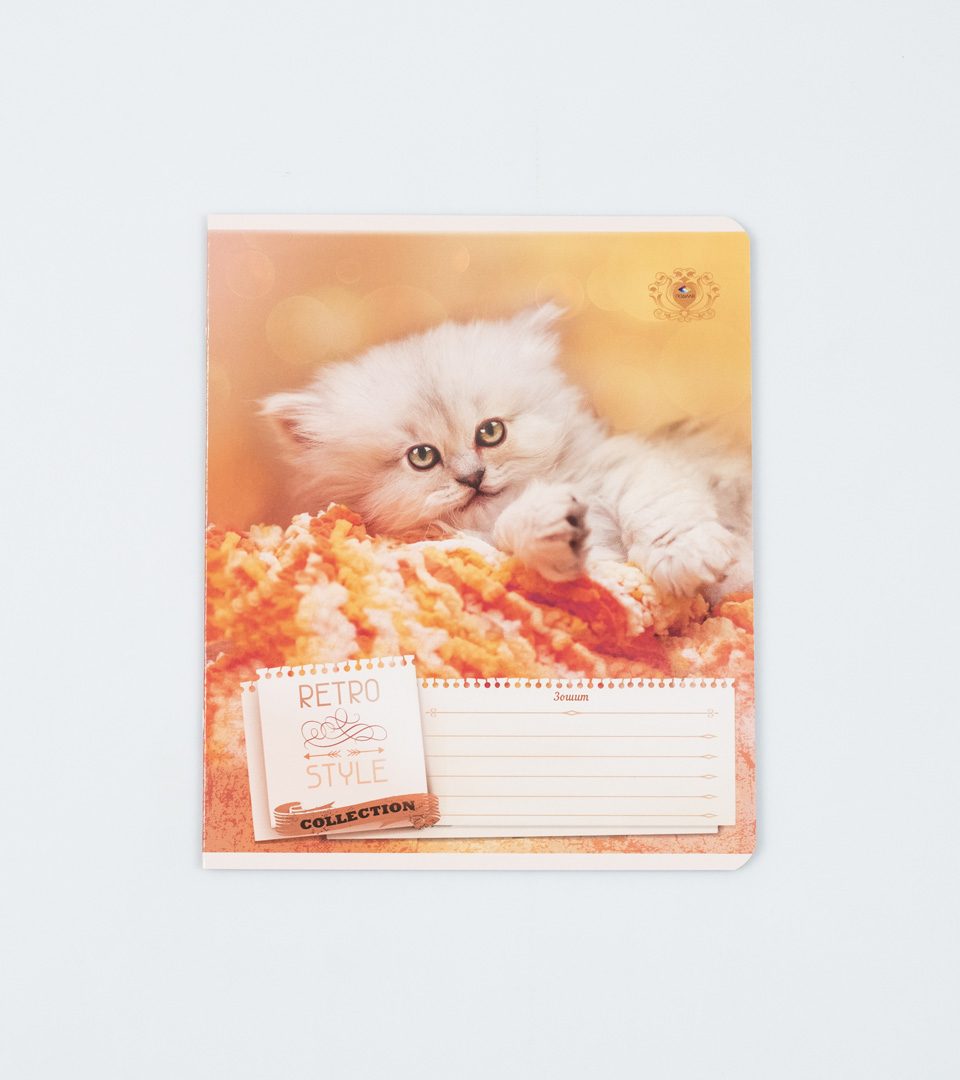 Зошити шкільні “Ретро стиль” фото 2