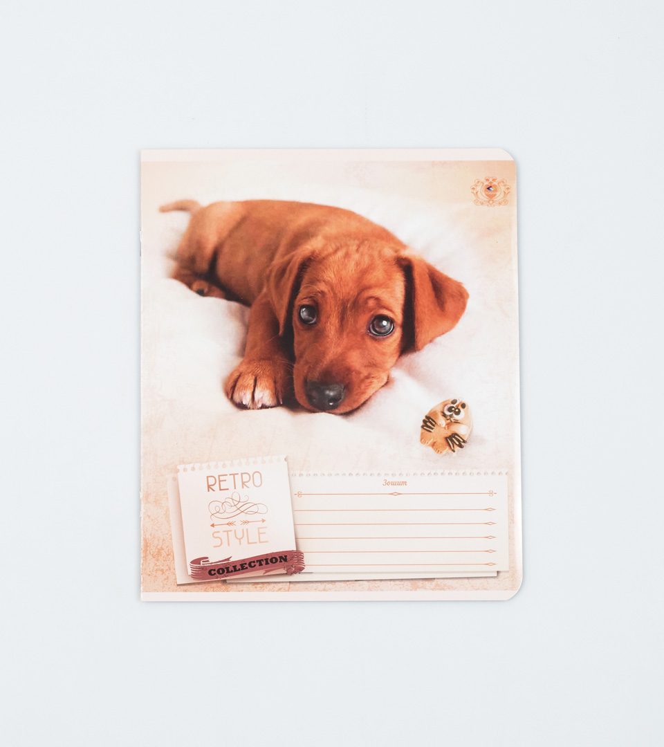 Зошити шкільні “Ретро стиль” фото 3