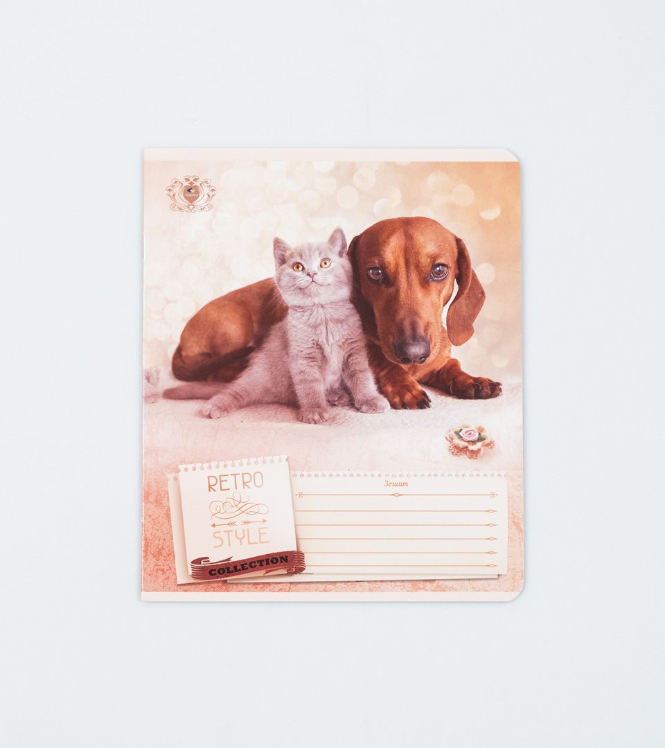 Зошити шкільні “Ретро стиль” фото 4