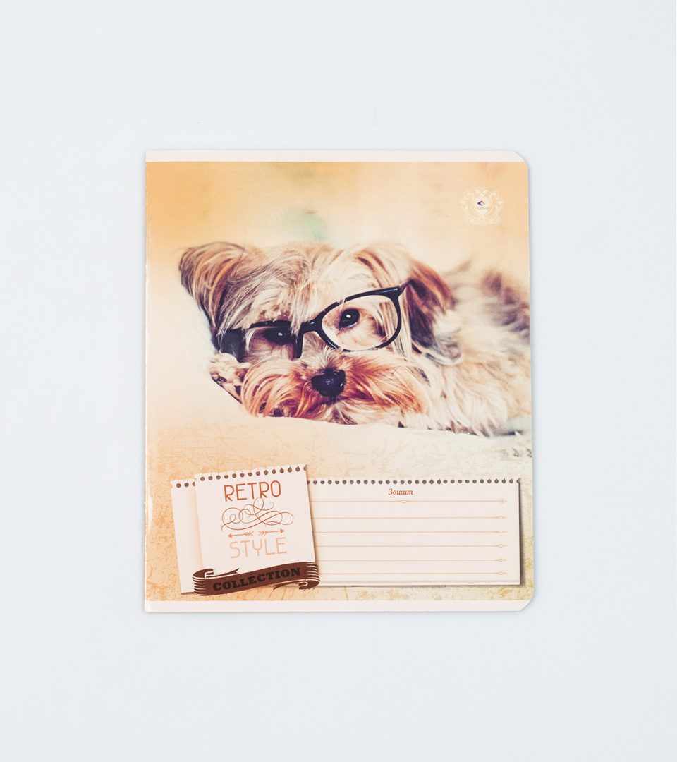 Зошити шкільні “Ретро стиль” фото 6