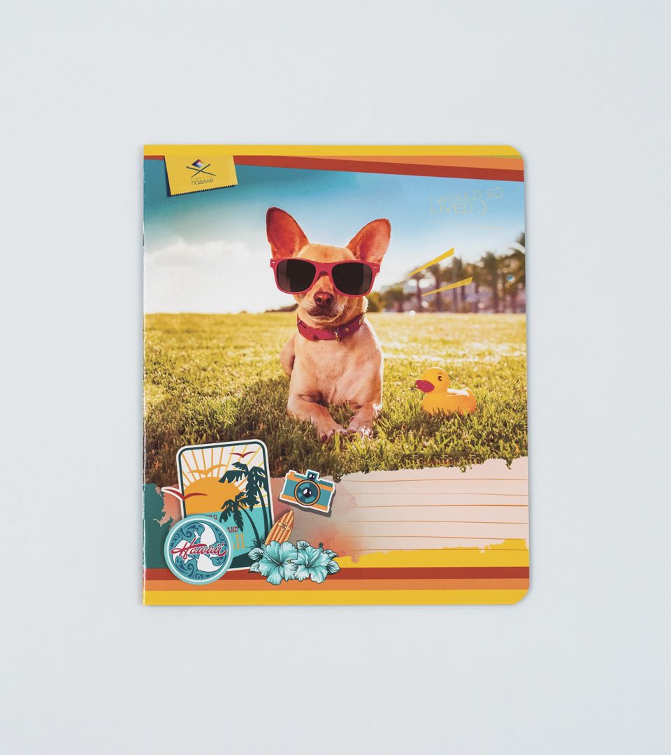 Зошити шкільні “Собачка на пляжі” фото 2