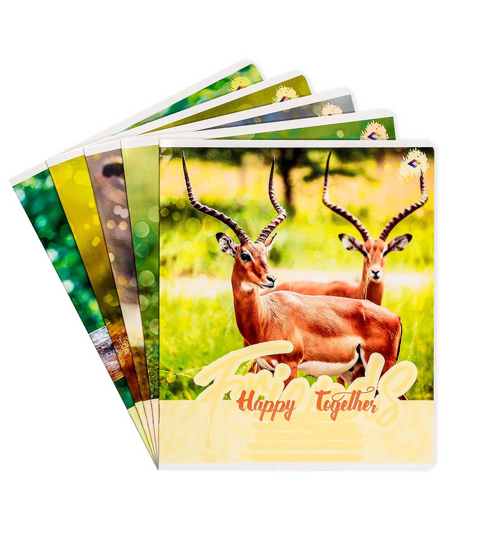 ЗОШИТИ ШКІЛЬНІ “парочки” фото 1