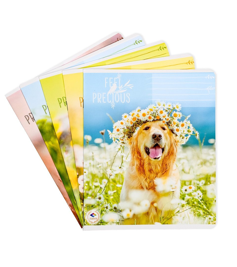 ЗОШИТИ ШКІЛЬНІ “Відчуй себе особливим” фото 1