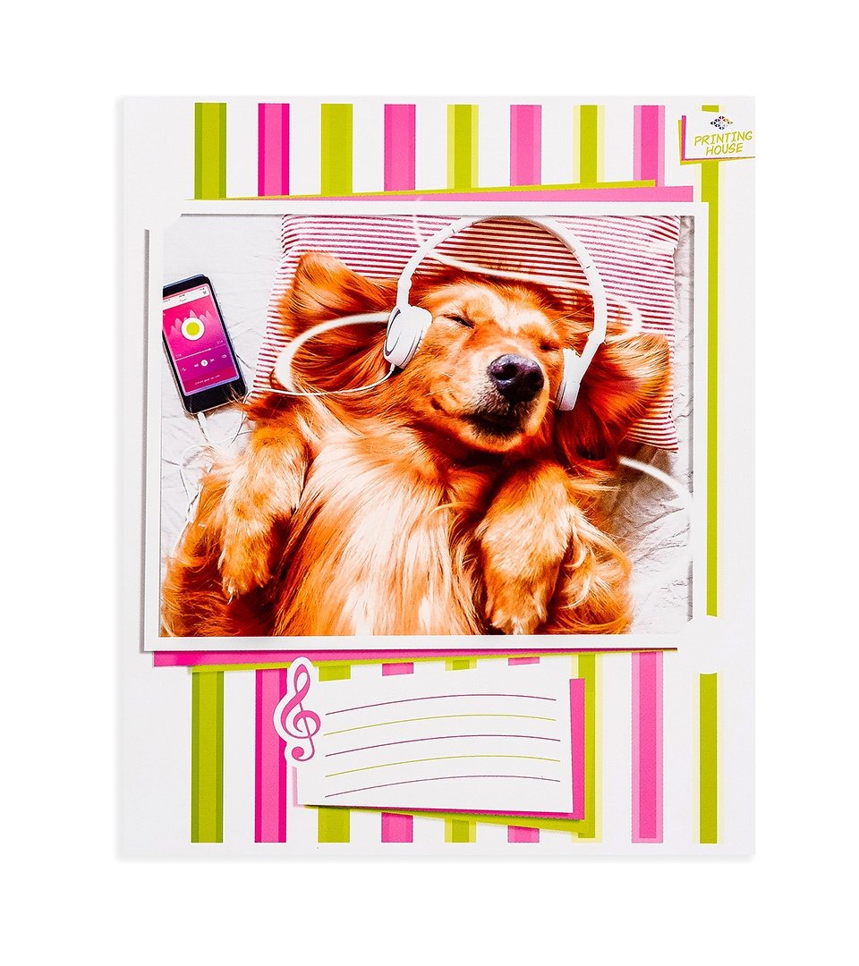 Зошити для нот “Музичні 5” фото 6