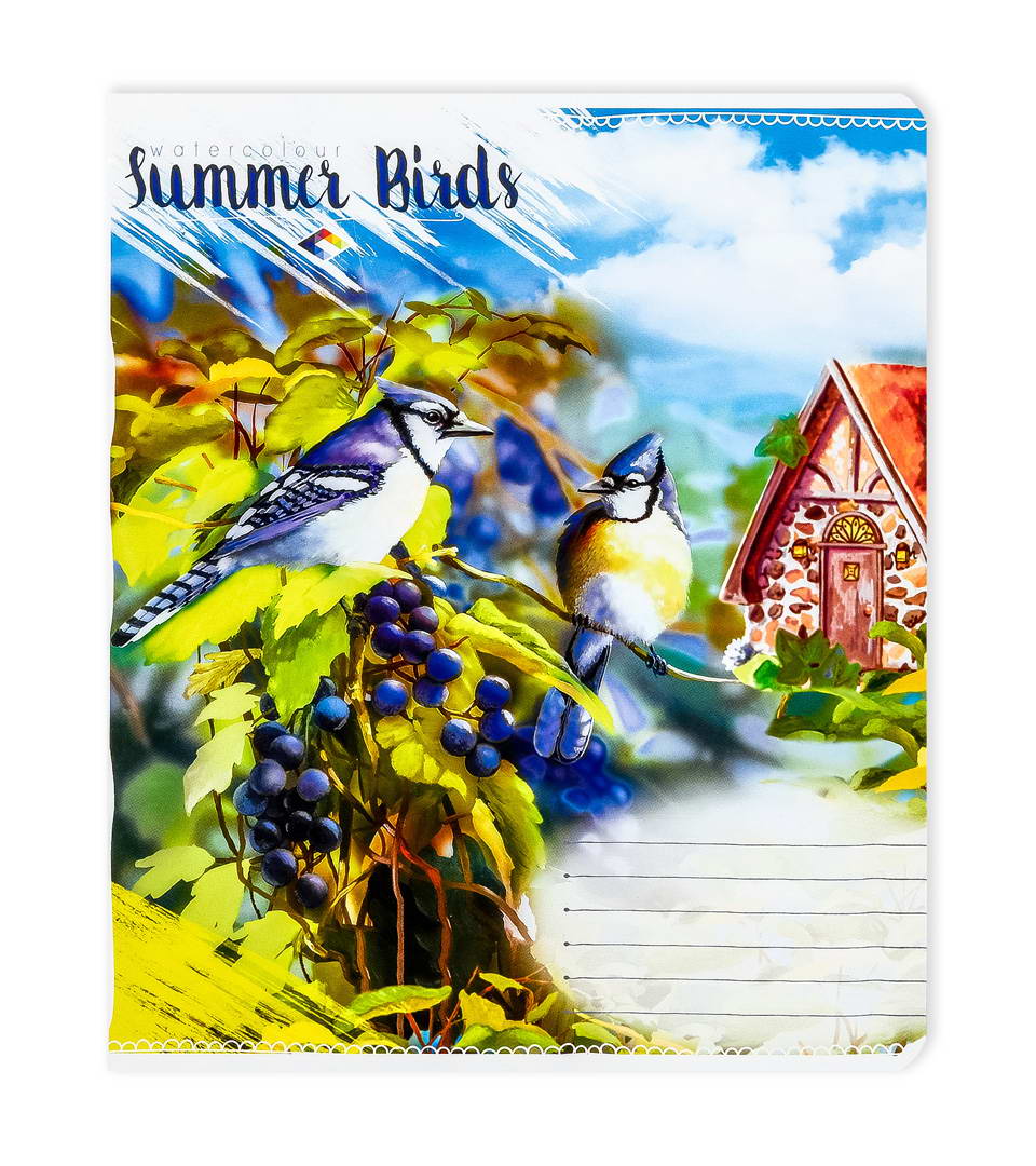 Зошити шкільні “Літні пташки” фото 2