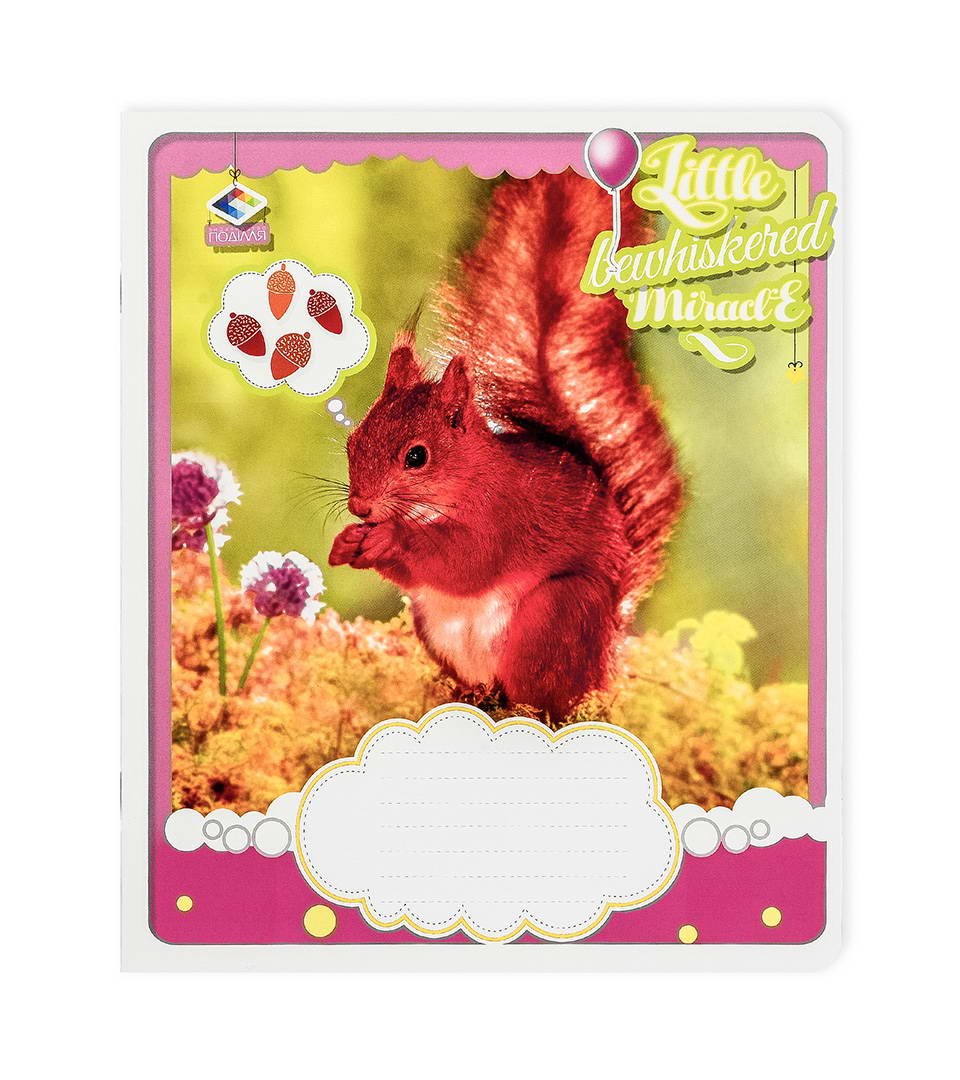 Зошити шкільні “Маленьке щастя” фото 2