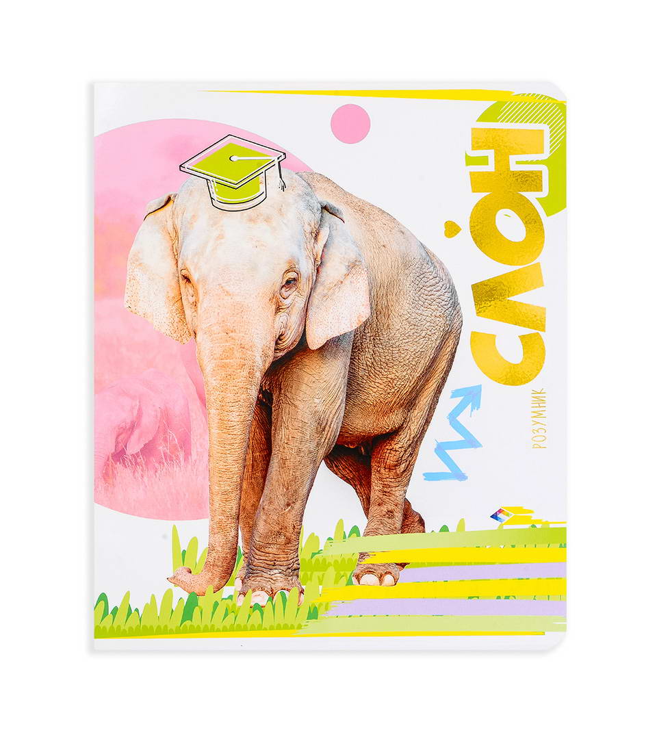 ЗОШИТИ ШКІЛЬНІ “Кумедні тварини” фото 4