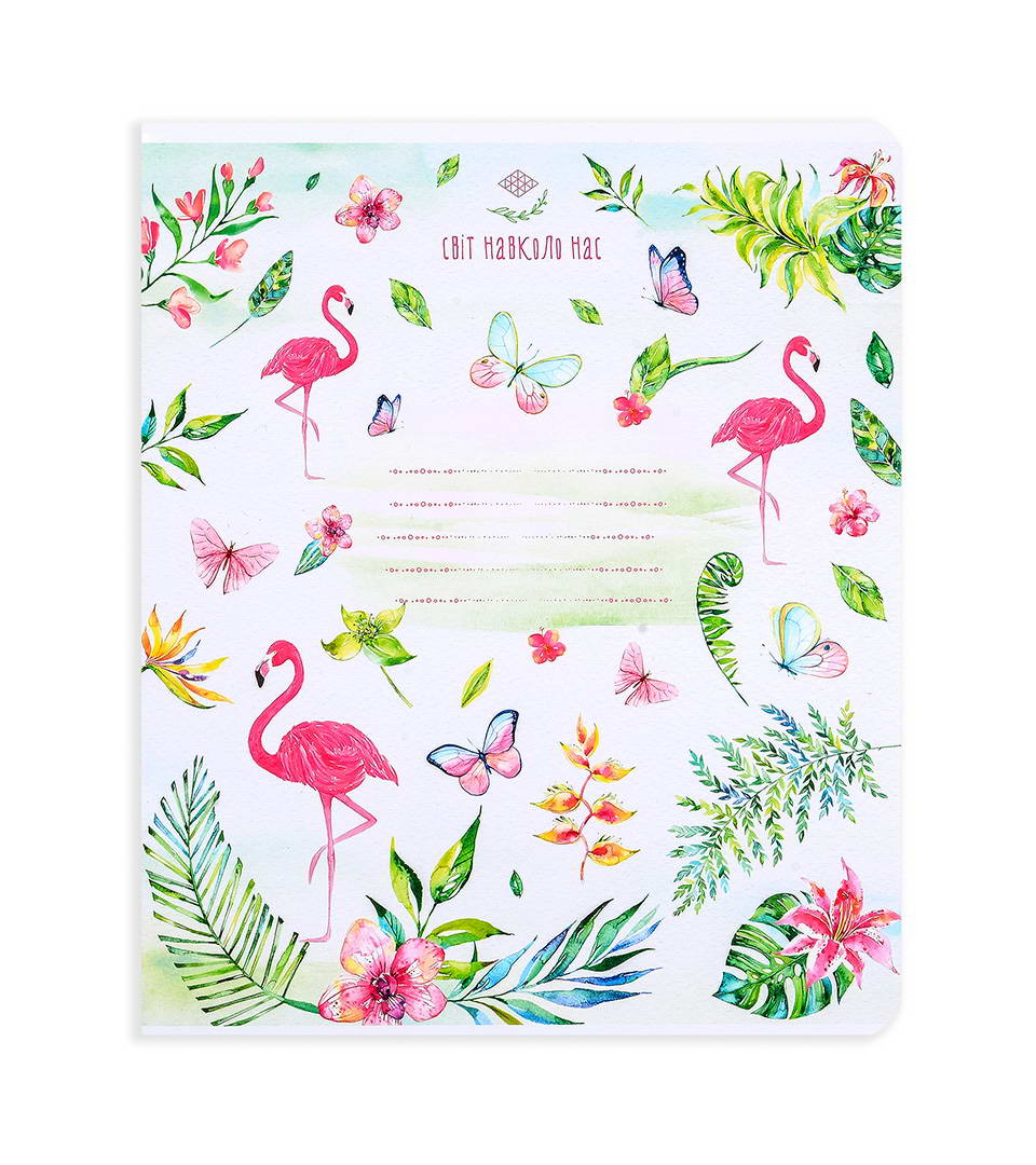 ЗОШИТИ ШКІЛЬНІ “Світ навколо нас” фото 4