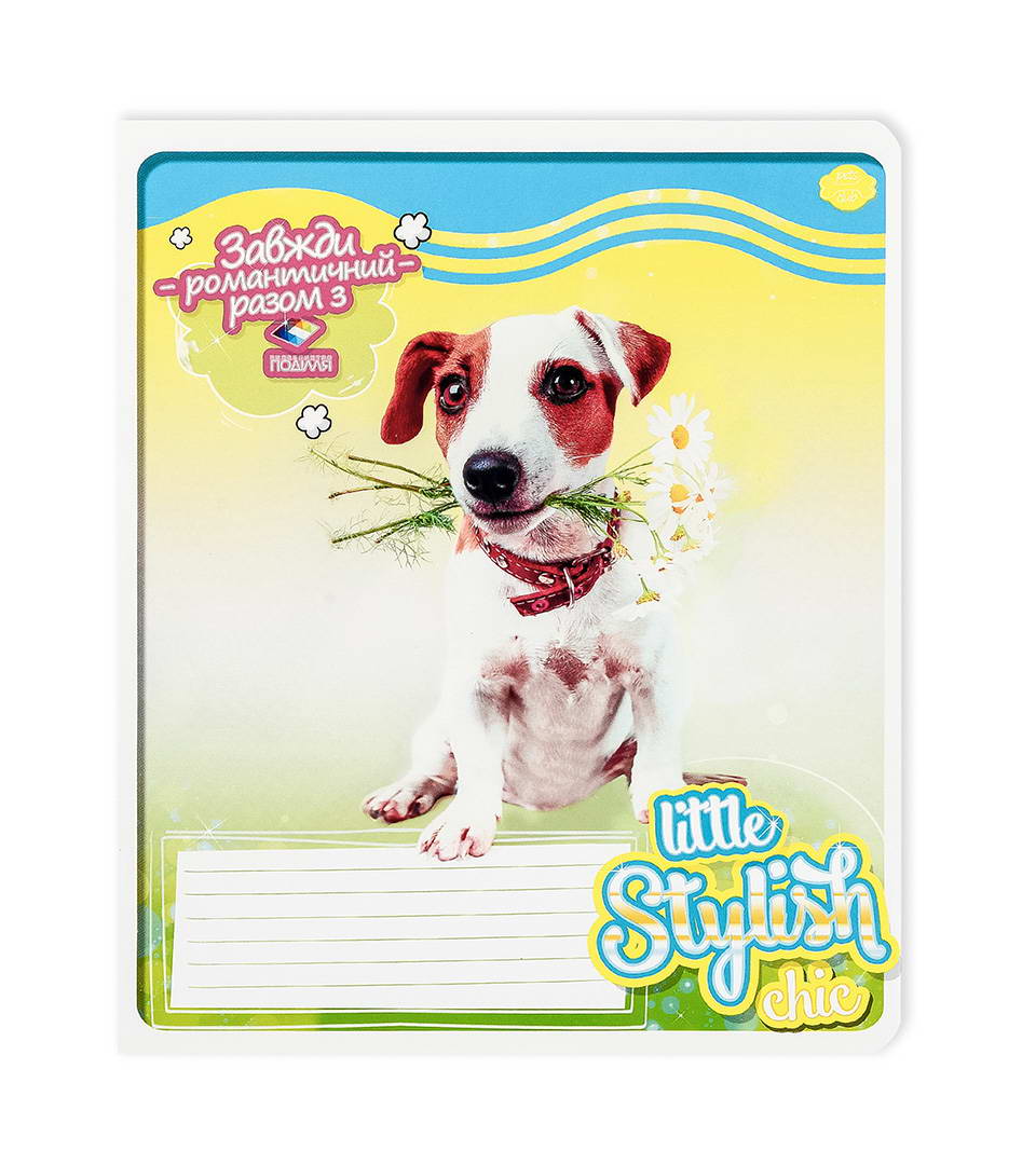 Зошити шкільні “Маленький стиляга” фото 5