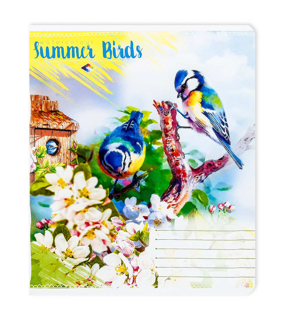 Зошити шкільні “Літні пташки” фото 6